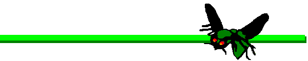 Line 1 10 1