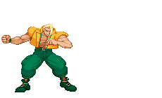Street fighter 030 1